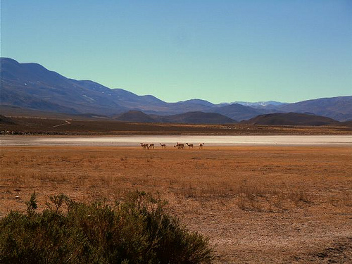 Laguna Blanca National Park